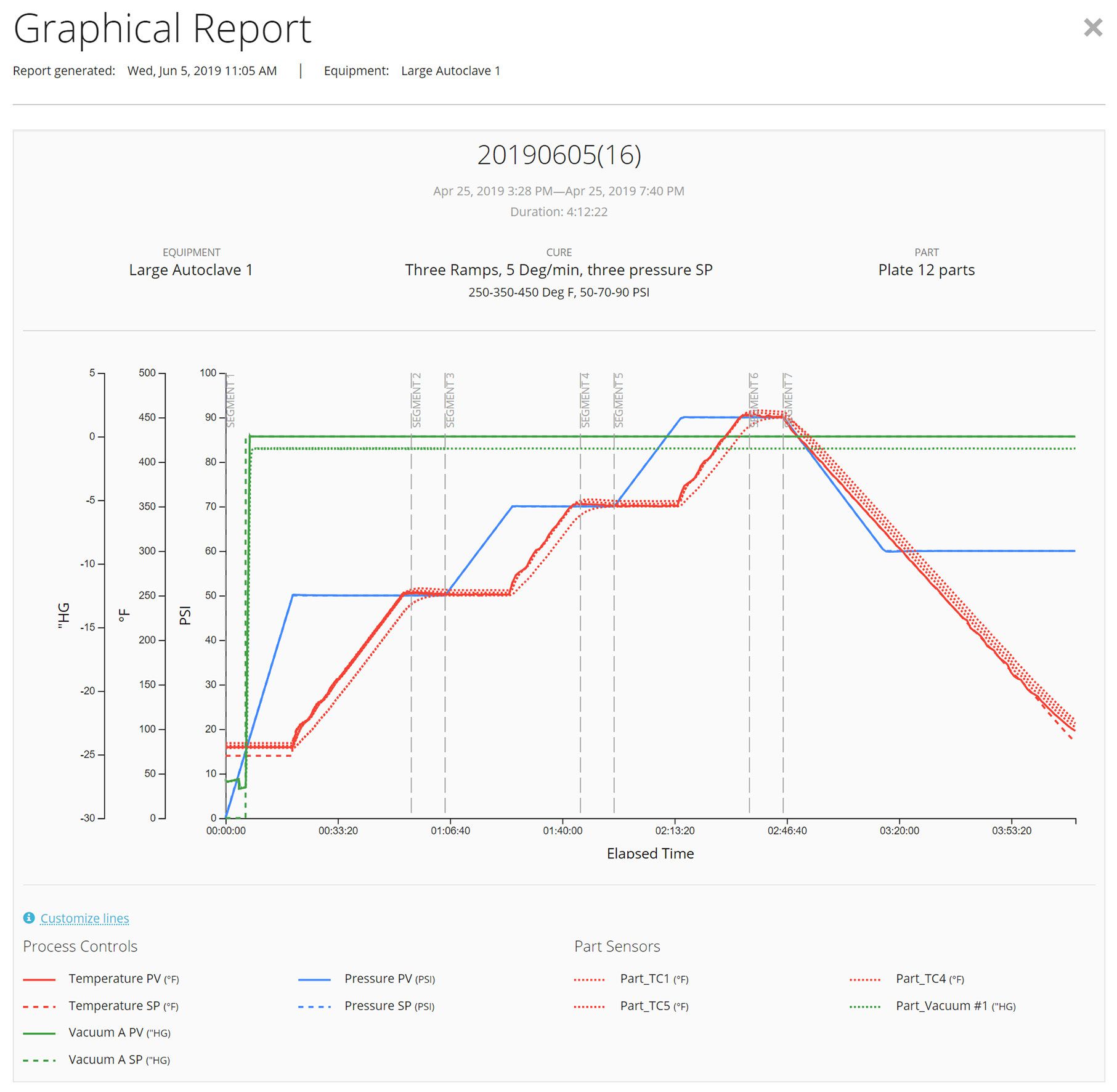 Graphical Autoclave Report | Walton Process Technologies